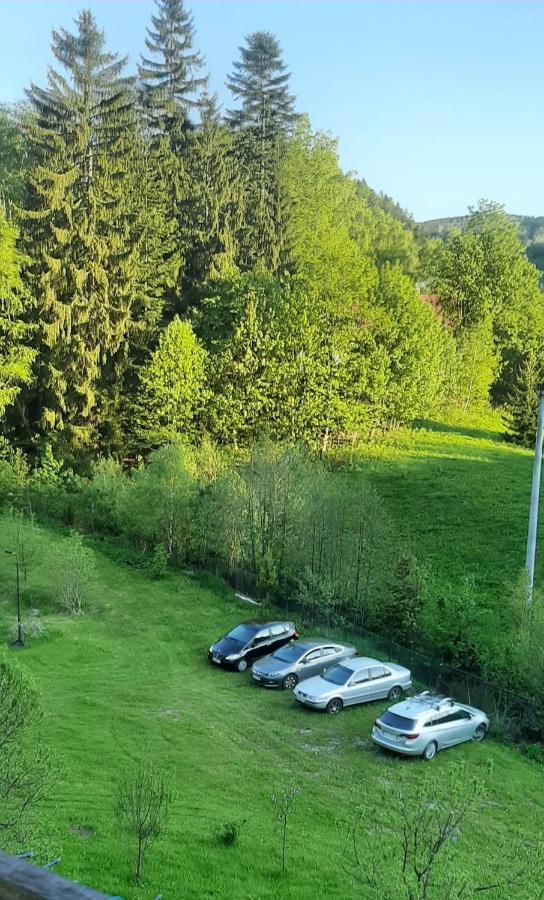 Pod Modrzewiem Mieszkania Wakacyjne Duszniki Zdrój Exteriör bild